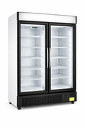 2 Door Swing Glass Freezer