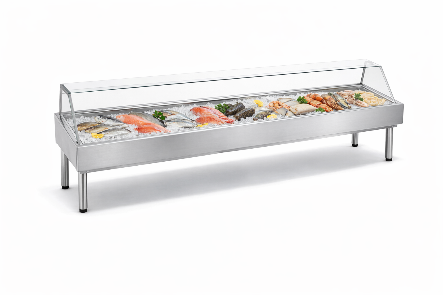 6 Ft. Fish Display